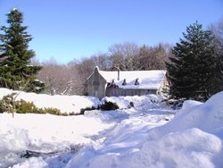 PICT2829.jpg