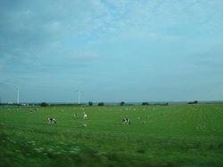 DSC00637.jpg
