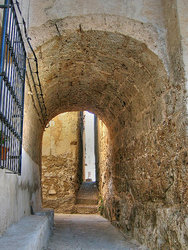 IMG058.jpg
