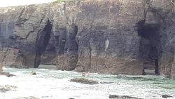 20140718_135323[1].jpg