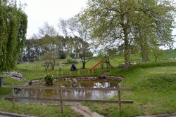 DSC_0335.jpg