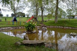 DSC_0333.jpg