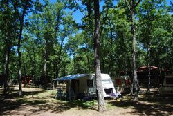 DSC_0136.jpg