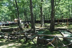 DSC_0140.jpg