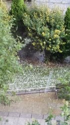 20140808_184403.jpg