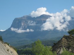 IMG_5474.jpg