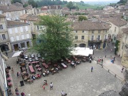 IMG_0264.jpg