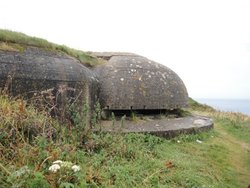 DSC08877.jpg