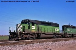 bn8081.jpg
