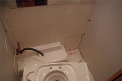 IMGP4696 (2).jpg