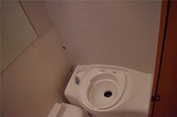 IMGP4698 (2).jpg