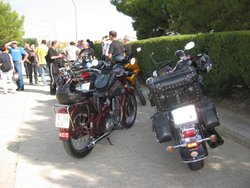 IMG_7275.jpg
