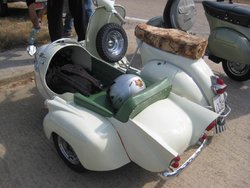 IMG_7296.jpg