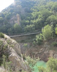 IMG_2494.jpg