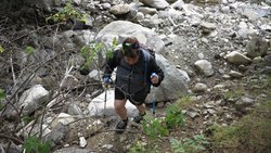 IMG_1249.jpg