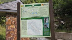 IMG_1252.jpg
