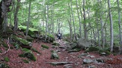 IMG_1264.jpg
