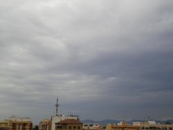 DSC09432.jpg