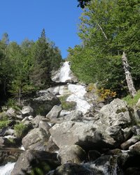 IMG_2301.jpg