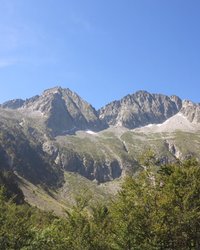 IMG_2327.jpg