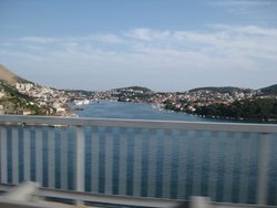 IMG_0048.jpg