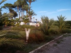 IMG_20141009_181100.jpg