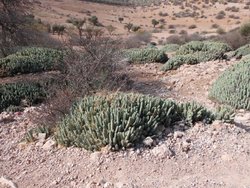 Marruecos 09-14 128.jpg
