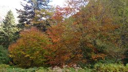 DSC_0562.jpg