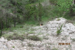 IMG_0685.JPG