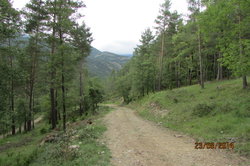 IMG_0695.JPG