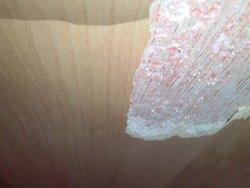 CAM00809.jpg