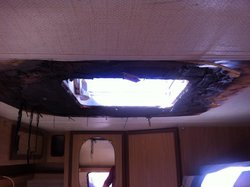 IMG_6076.jpg