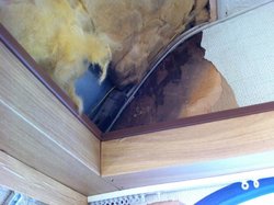 IMG_6099.jpg