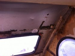 IMG_6106.jpg
