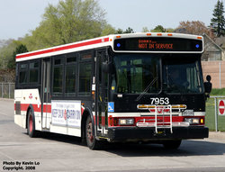 ttc_7953.jpg