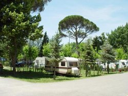 campingi alaranjuez2.jpg