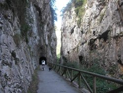 DSCF0244.jpg