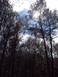 IMG-20150321-WA0011.jpg