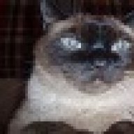 patrolet