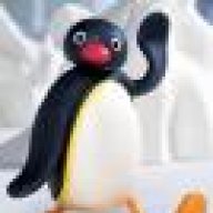 pingu