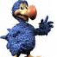 dodo
