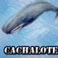 cachalote
