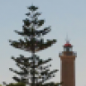 Faro