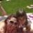 somos_3