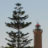 Faro