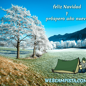 felicitacion_2022.png