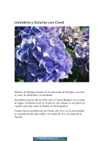 cover131262