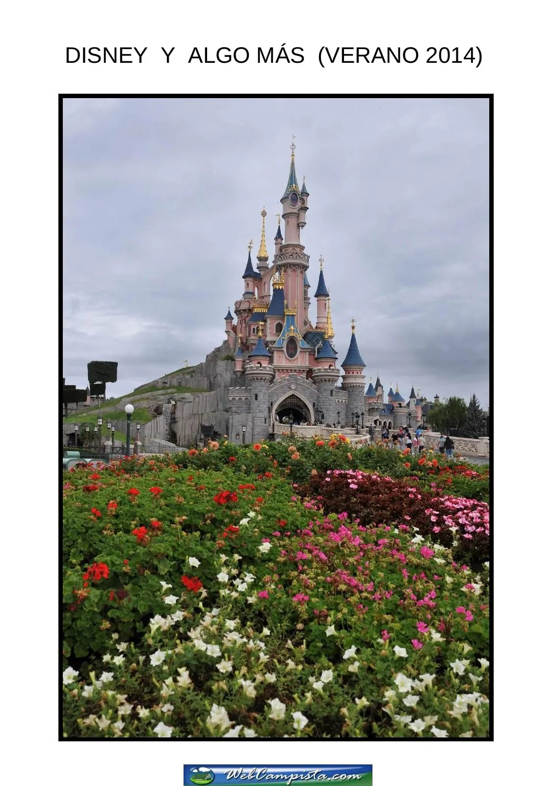 Portada — Disney 2014 por d.dolors